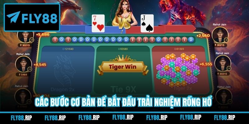 Các bước cơ bản để bắt đầu trải nghiệm Rồng Hổ