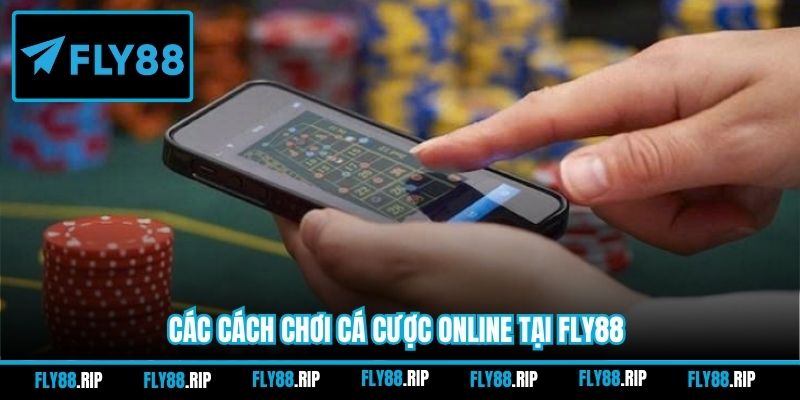 Các cách chơi cá cược online tại FLY88