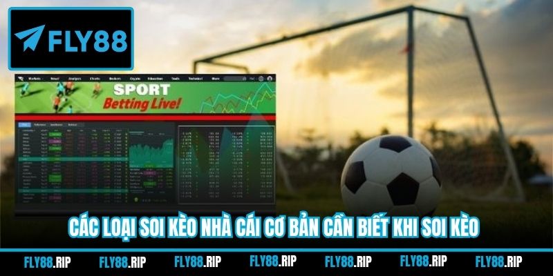 Các loại soi kèo nhà cái cơ bản cần biết khi soi kèo