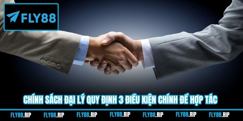 Chính sách đại lý quy định 3 điều kiện chính để hợp tác