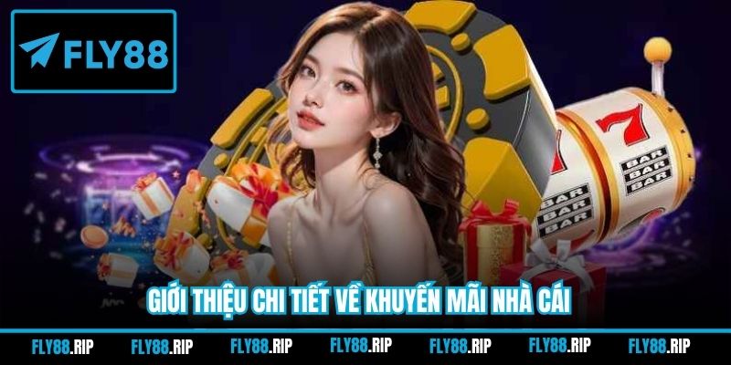 Giới thiệu chi tiết về khuyến mãi nhà cái
