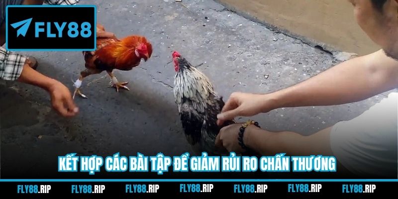 Kết hợp các bài tập để giảm rủi ro chấn thương