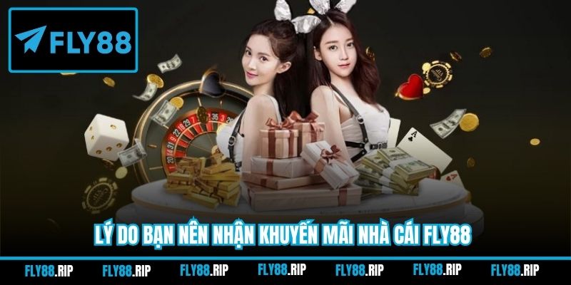Lý do bạn nên nhận khuyến mãi nhà cái FLY88