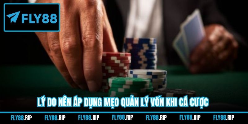 Lý do nên áp dụng mẹo quản lý vốn khi cá cược