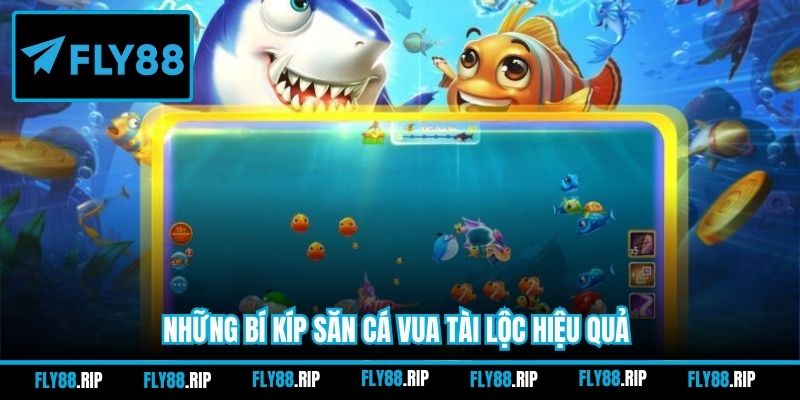 Những bí kíp săn cá Vua Tài Lộc hiệu quả