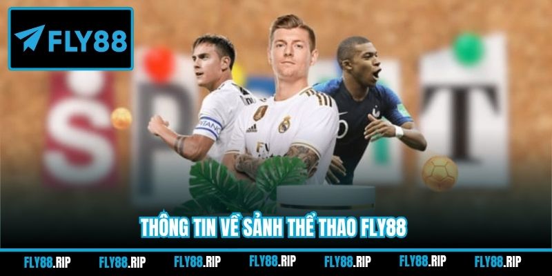 Thông tin về sảnh thể thao FLY88
