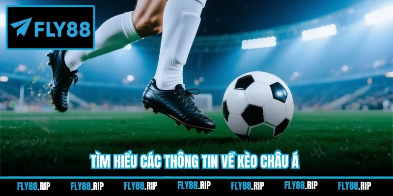 Tìm hiểu các thông tin về kèo châu Á