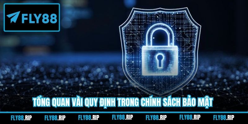 Tổng quan vài quy định trong chính sách bảo mật